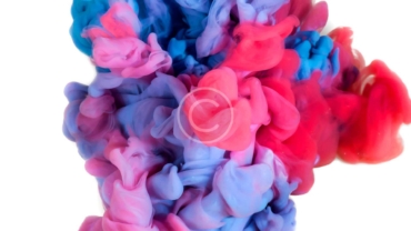 New in Berlin – P&B Club